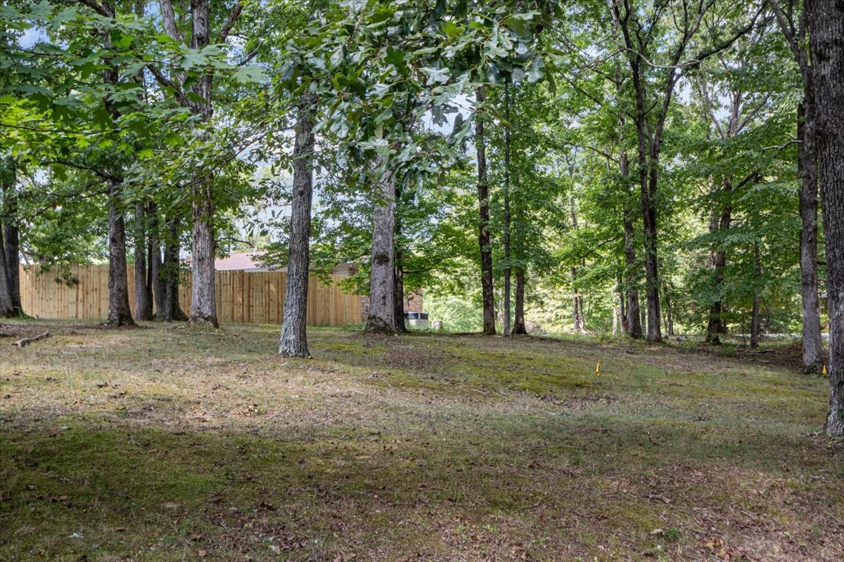 a view of a tree in the middle of a yard