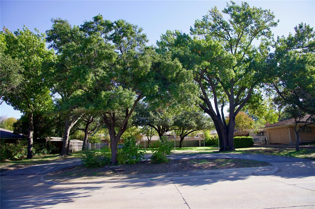 a view of a yard with plants and trees