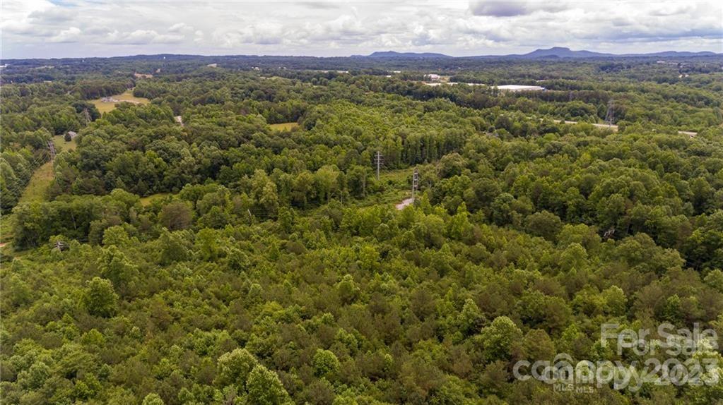 a view of a city with lush green forest