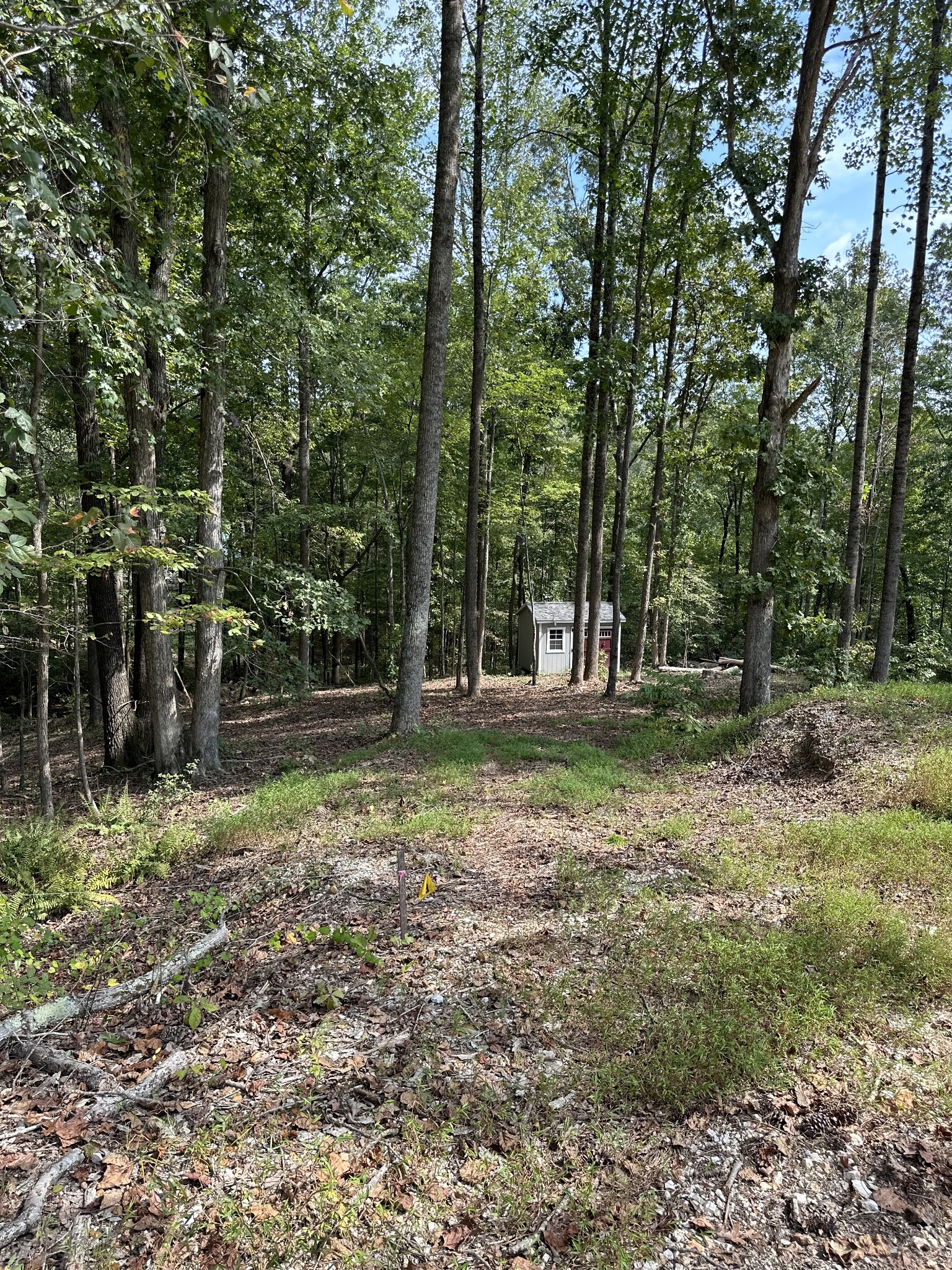 a view of outdoor space with trees all around