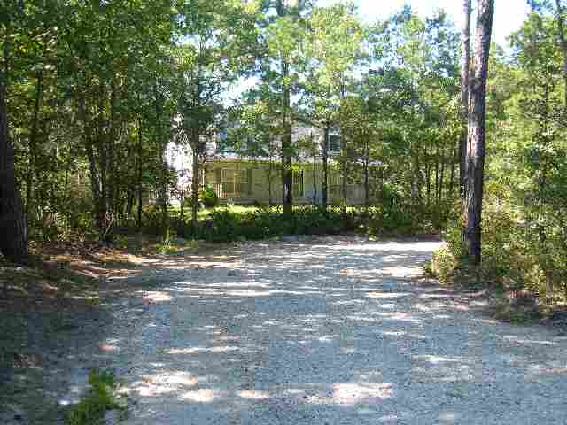 a view of a yard with plants and trees