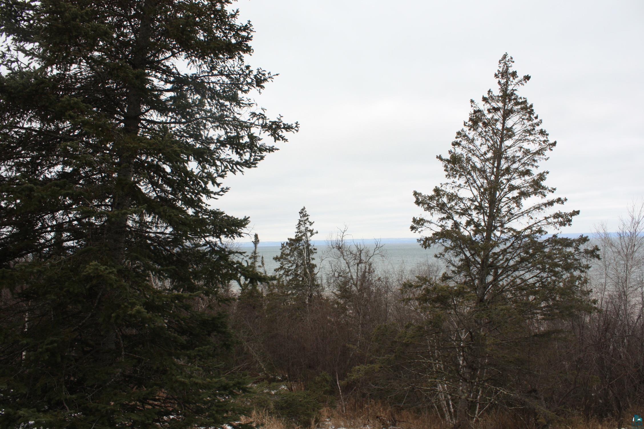 View of local wilderness