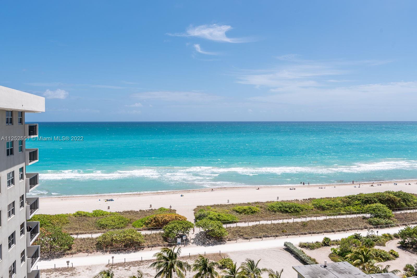 a view of a yard with an ocean