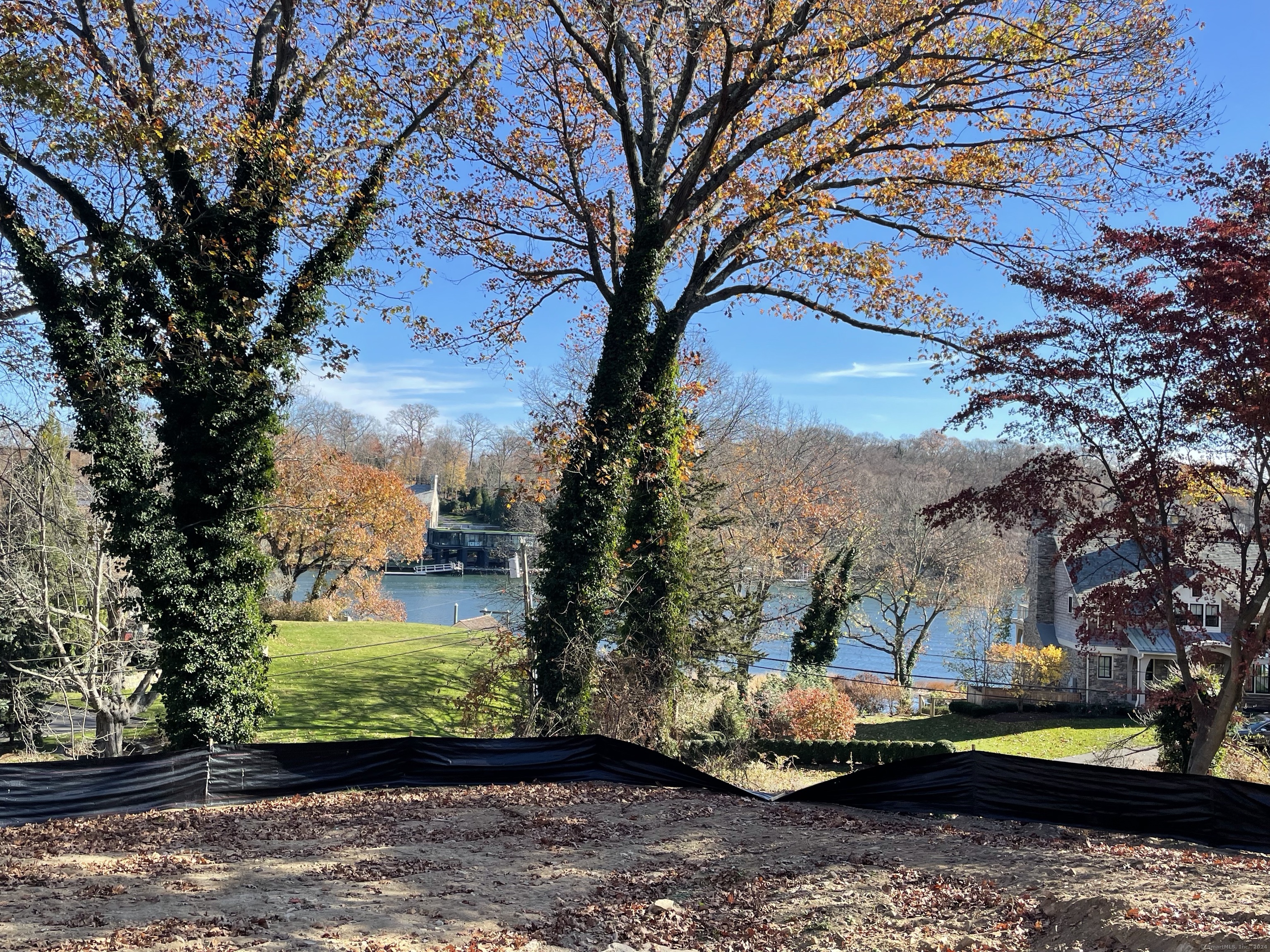 a view of a garden with large trees