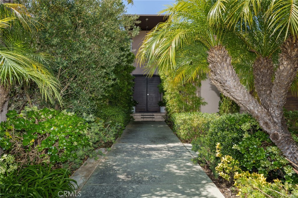 a view of a pathway of plants and large trees