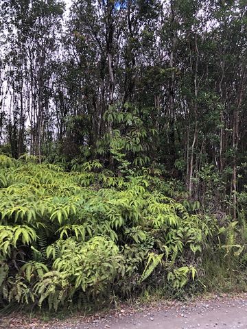 $45,000 | 75 Kokokahi Road | Fern Forest