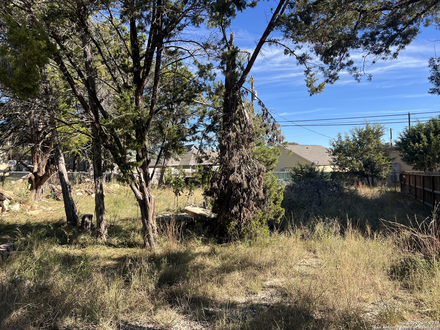 a view of backyard of house