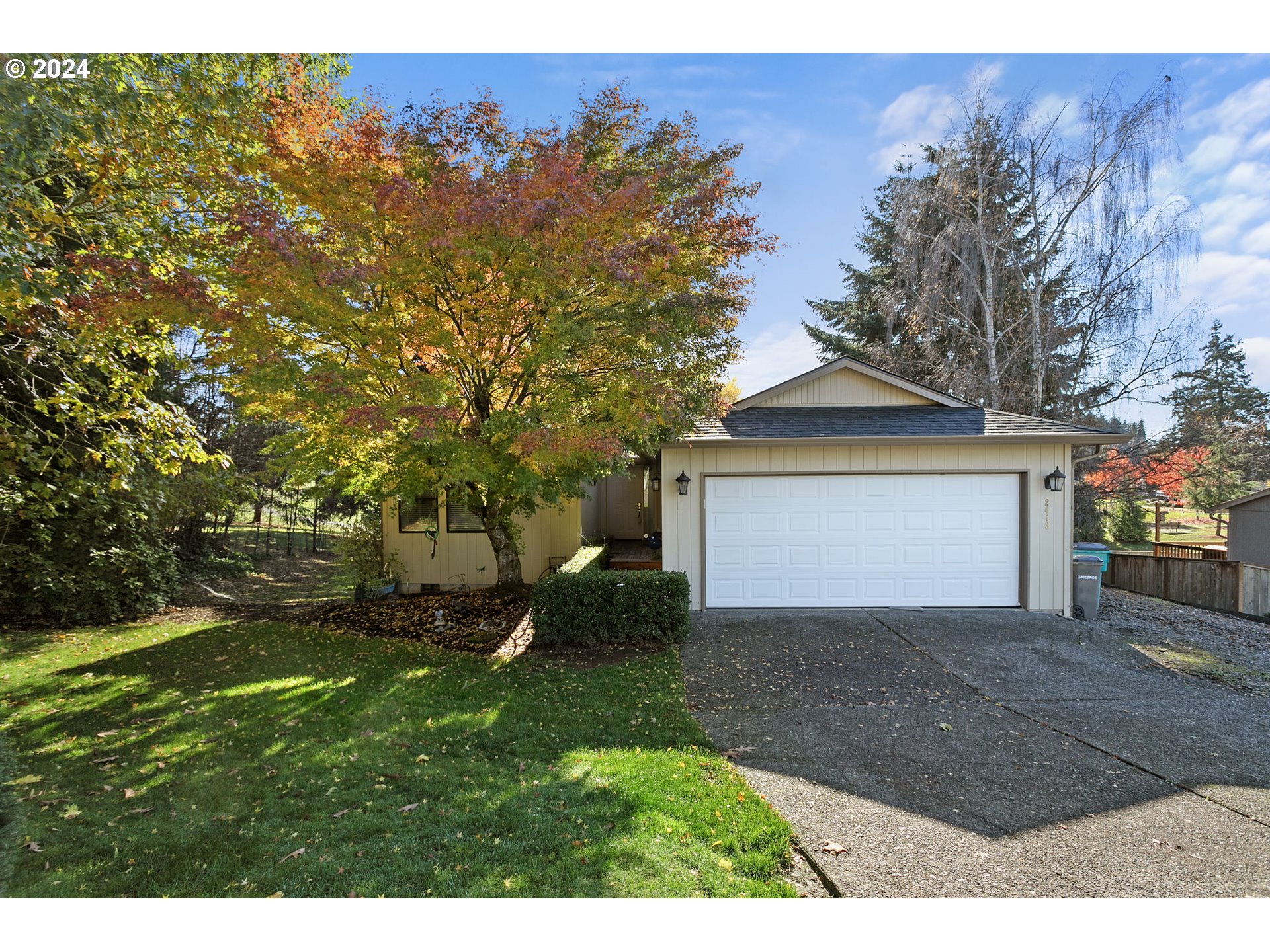 a view of a backyard with a large tree