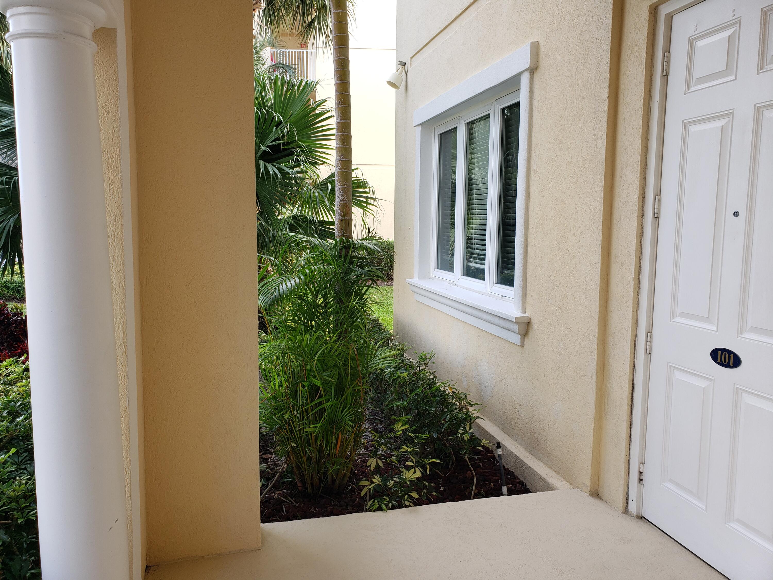 a potted plant in front of a door