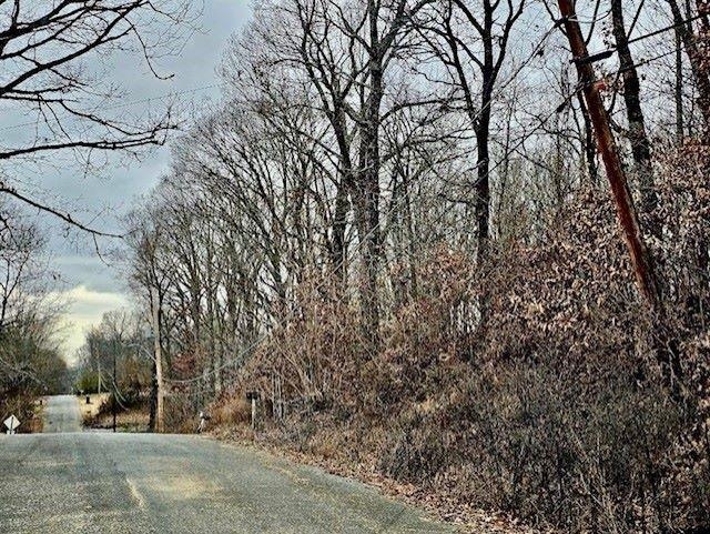 a view of a yard with snow on the road