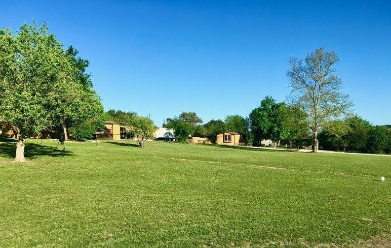 a view of a trees in a park