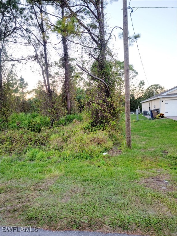 a view of a yard in front of a house with a large tree