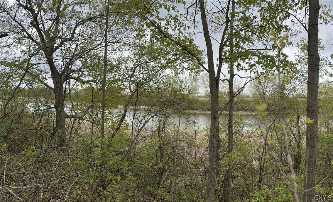 Back edge of property overlooking Guffin Creek