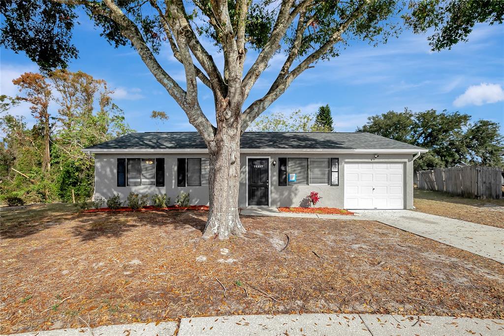 a view of a house with a yard and tree s