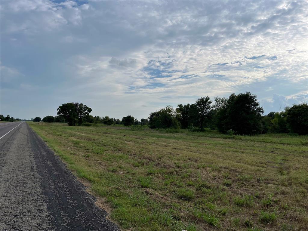 a view of grassy field with trees