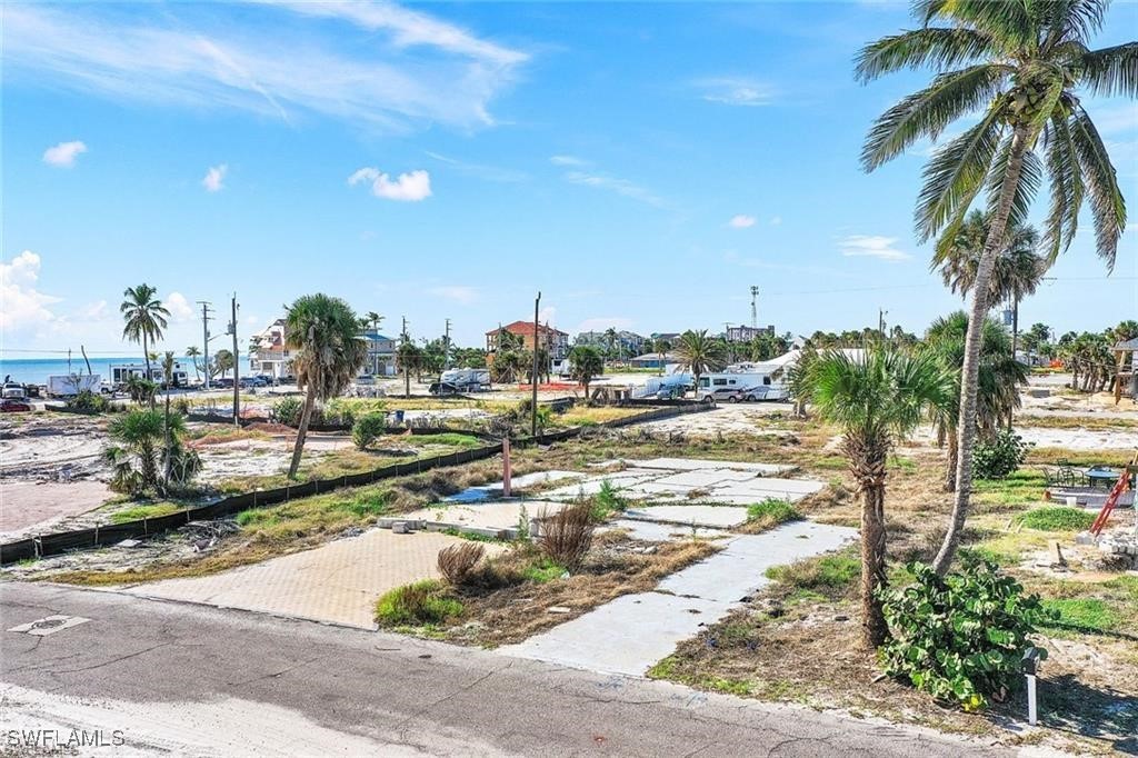 a view of a yard and front of palm trees