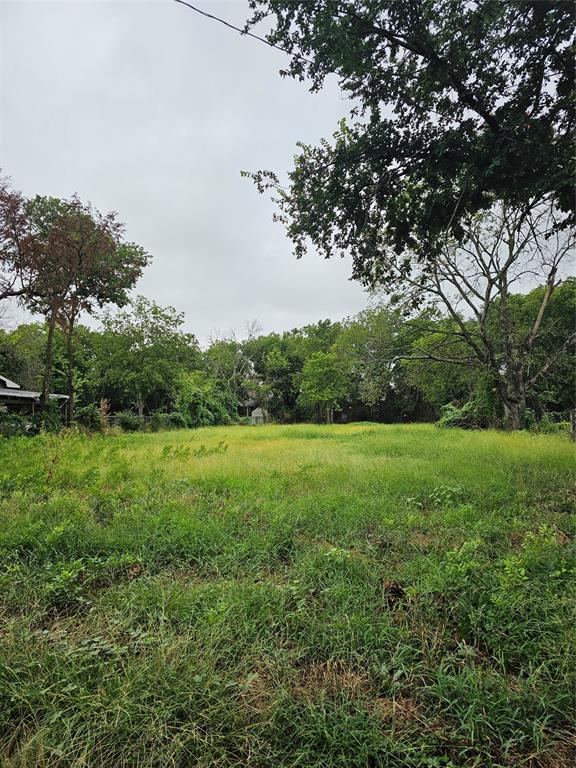 a view of yard with green space