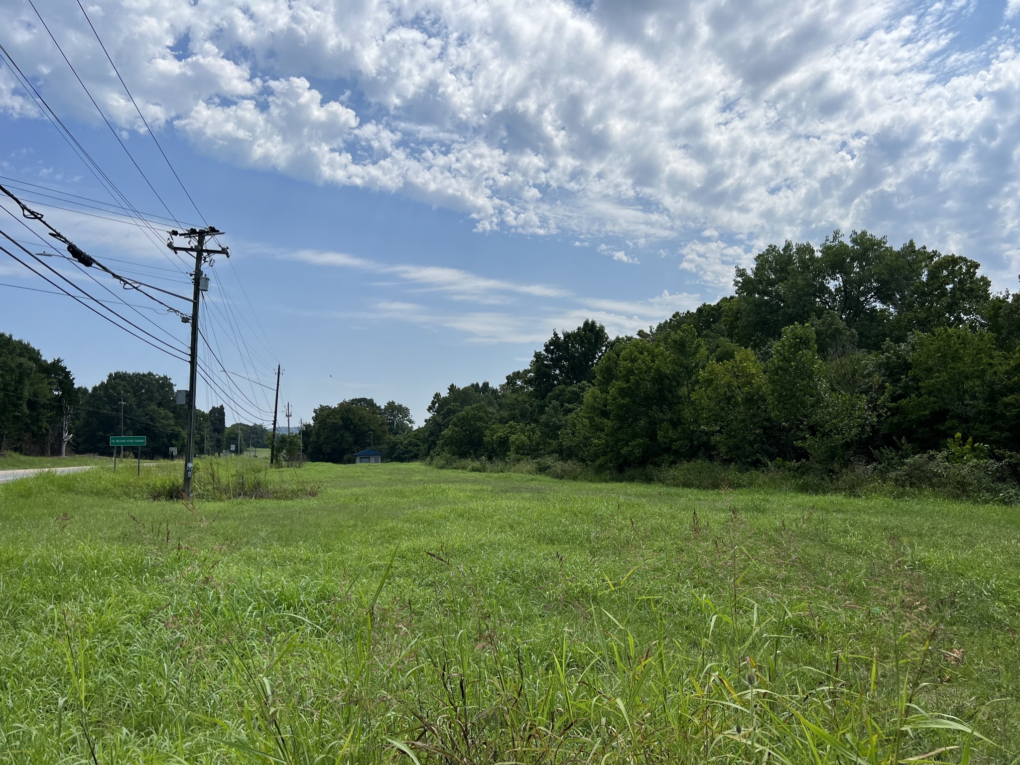 a view of a field with a tree in the background