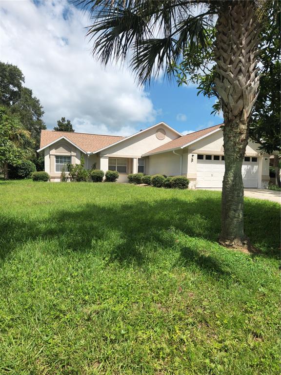 a view of a yard in front of house