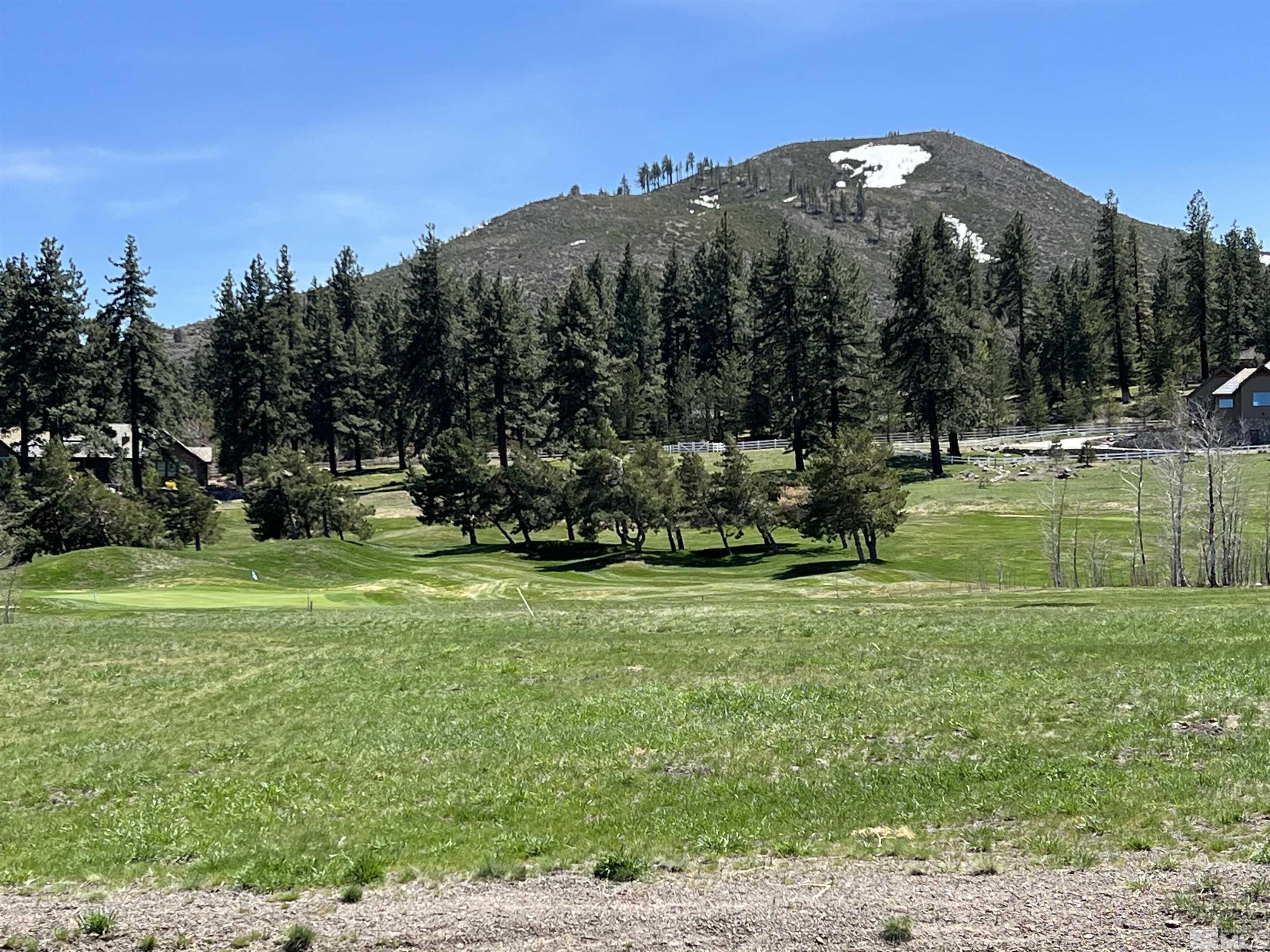 a view of a golf course with a garden