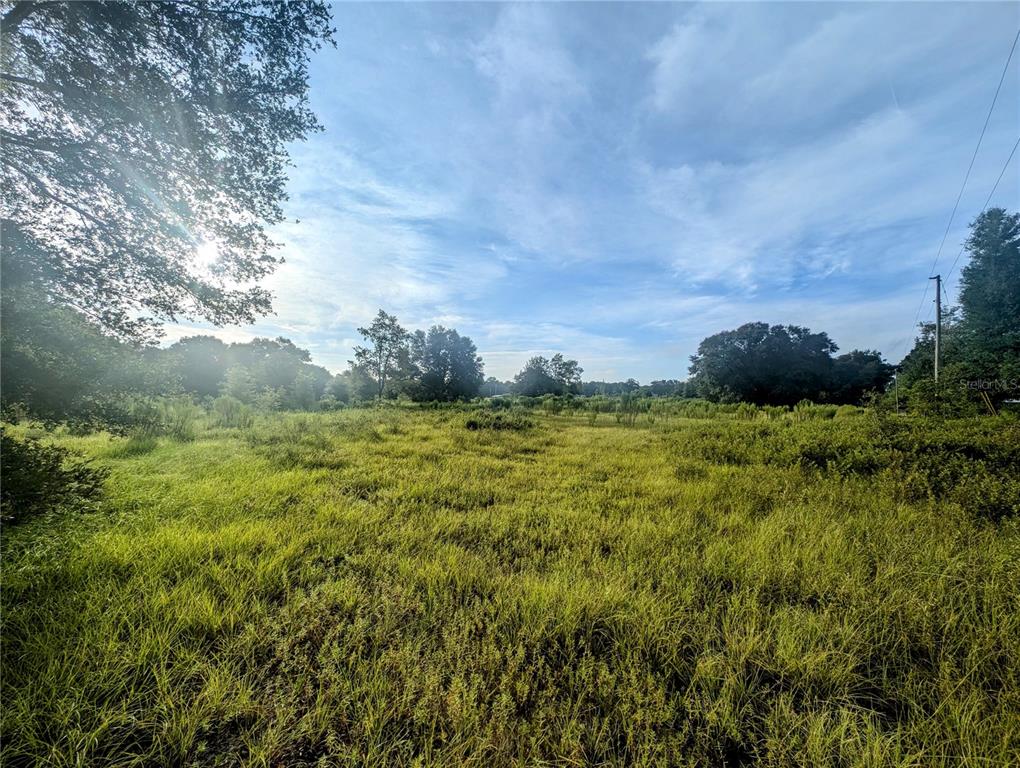 a view of a green field with trees in the background