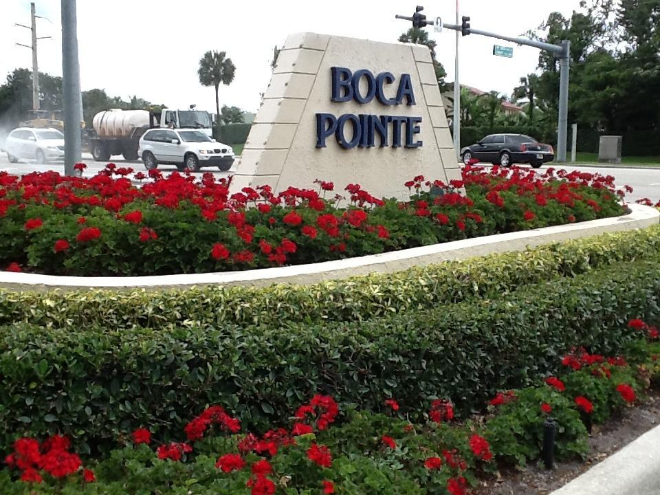 a view of bunch of flowers and cars