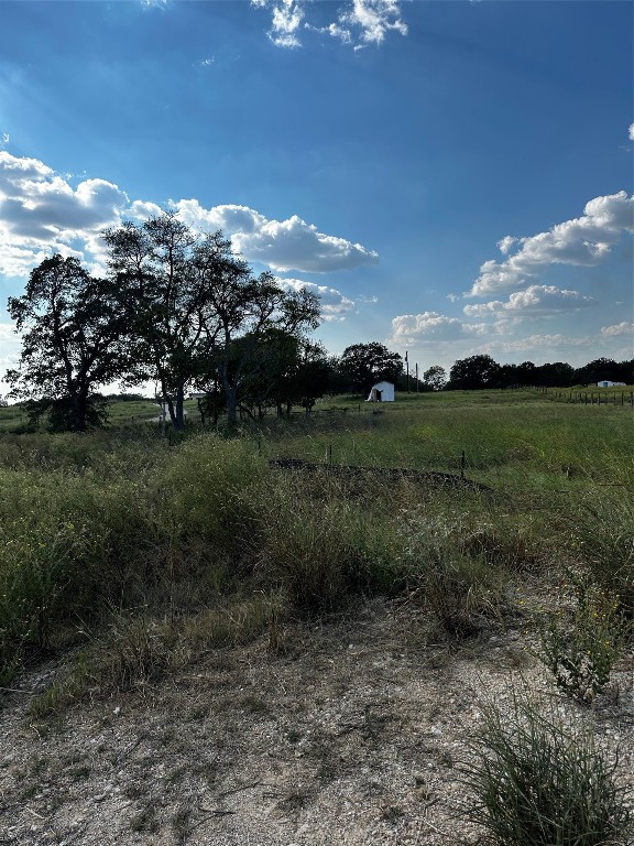 a view of a big yard with lots of green space