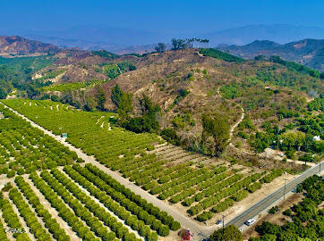 a view of a field with an ocean view