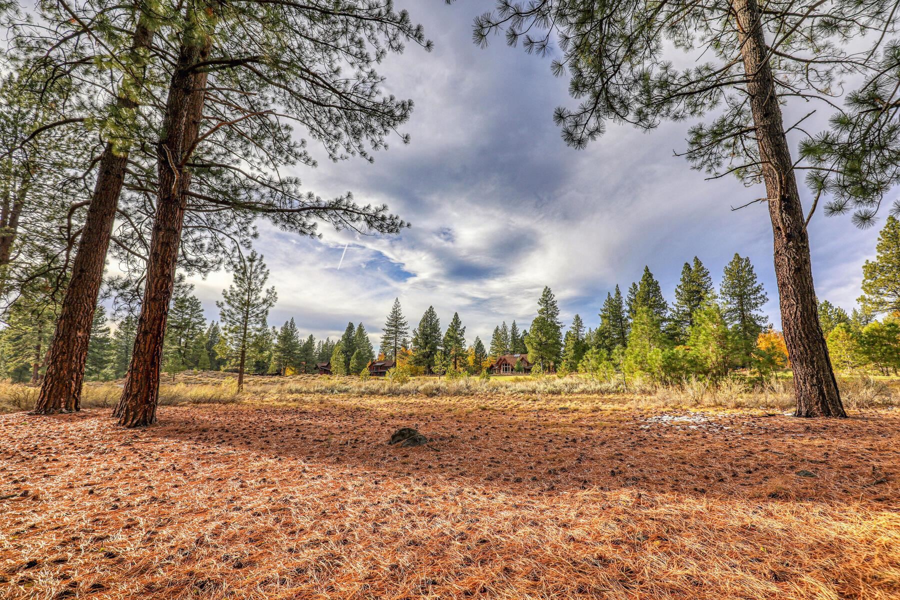 a view of dirt yard with a tree