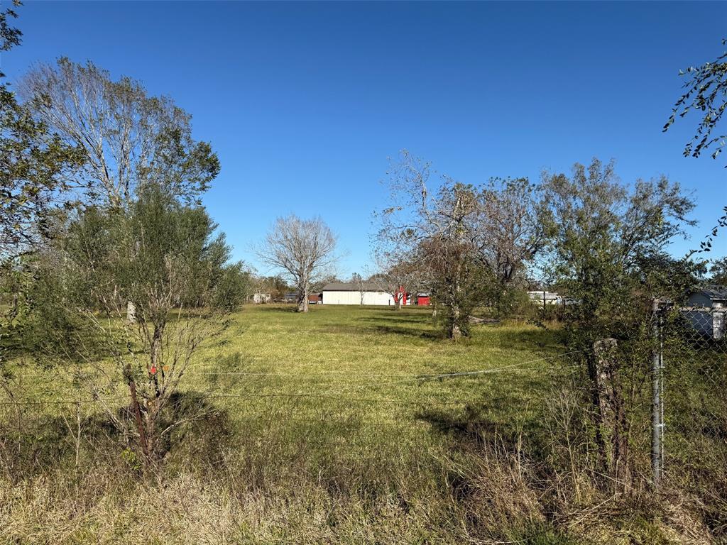 a view of a yard with an trees