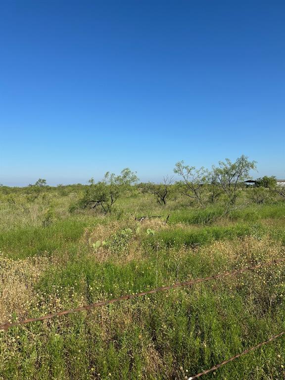 a view of a field with an ocean