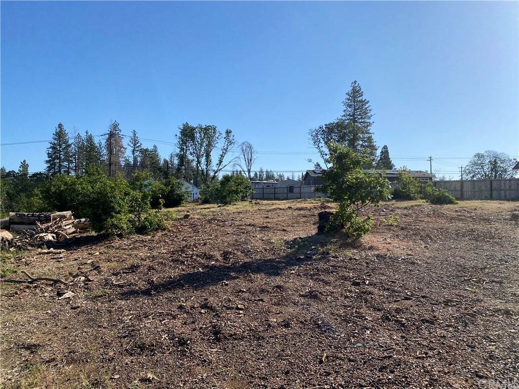 a view of a dry yard with trees and plants in the background