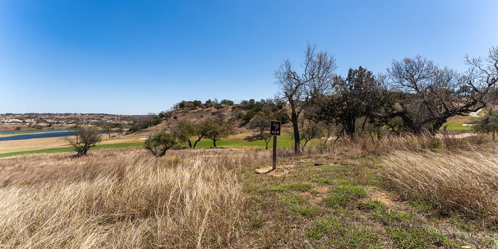 a view of a dry yard with trees