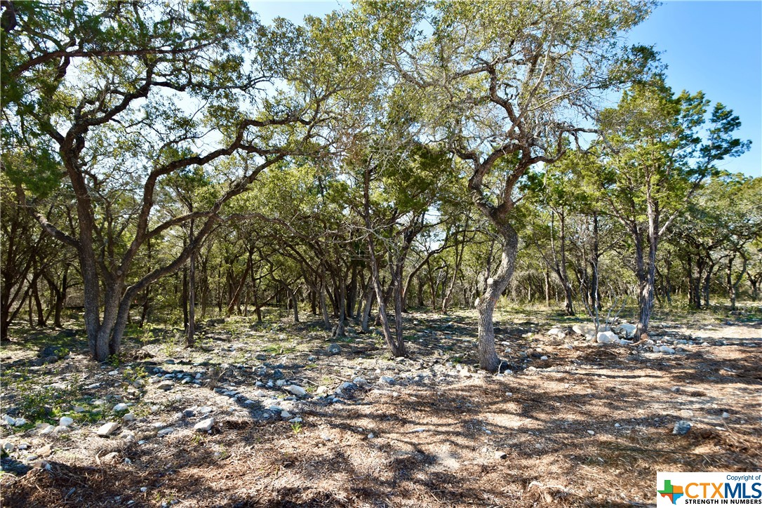 a view of outdoor space with trees