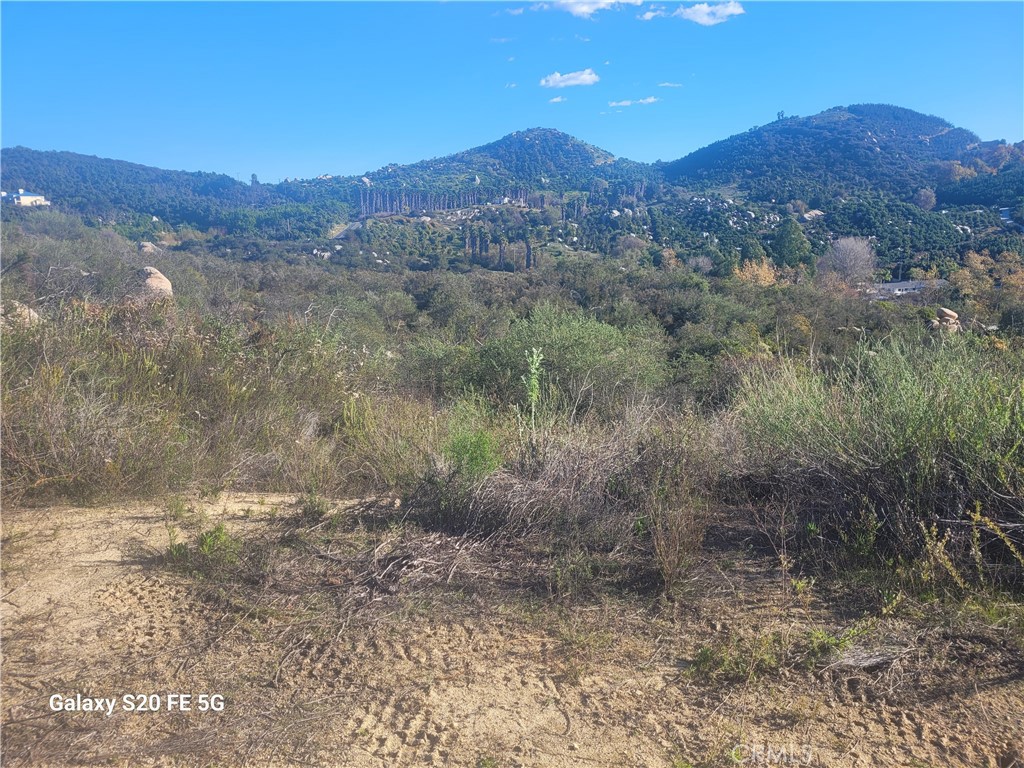 a view of a forest with mountains in the background