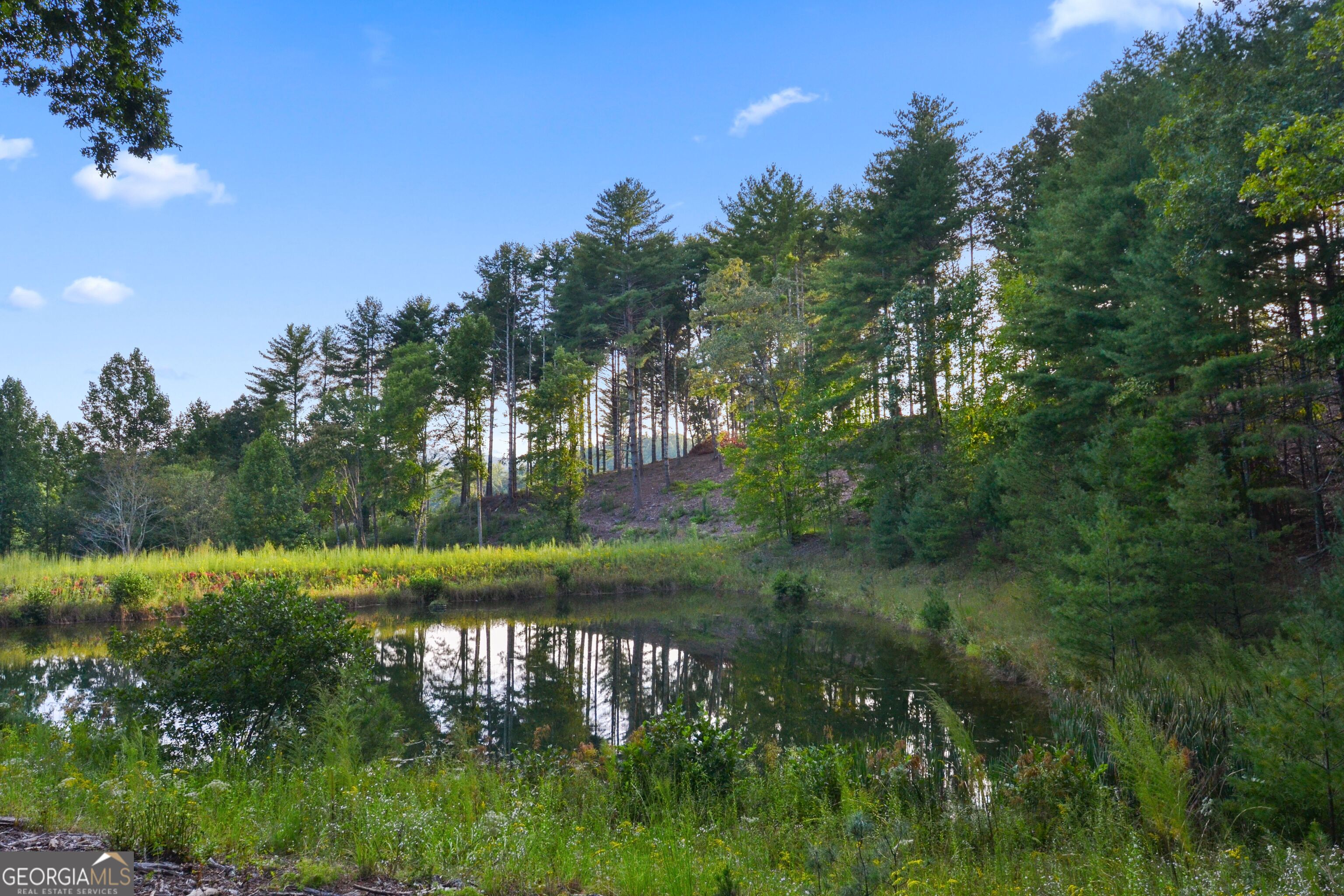 a view of lake with green space