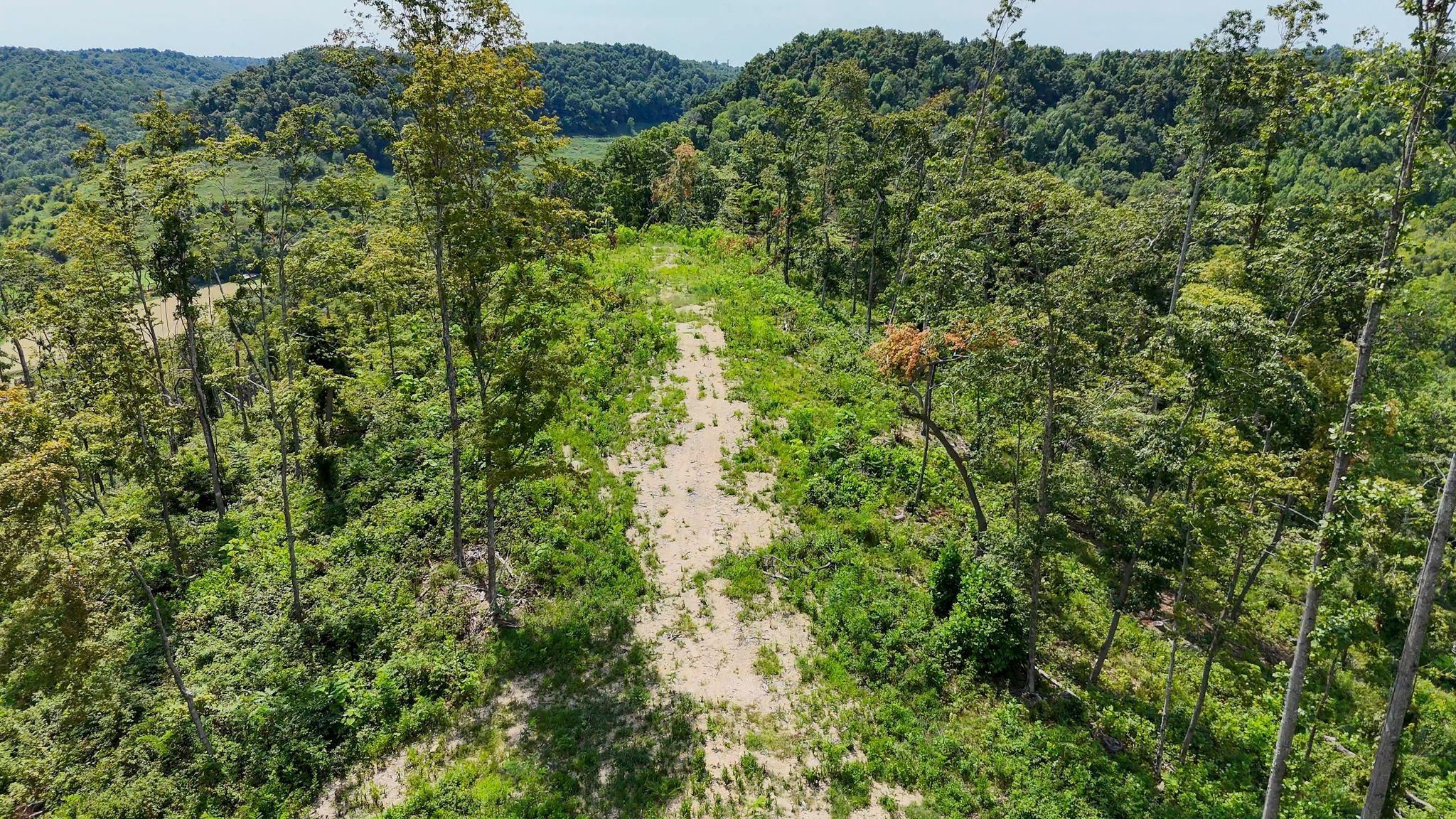 a view of a lush green forest with houses