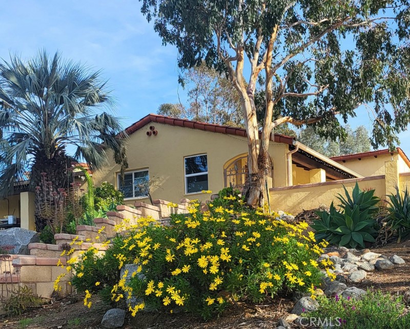 a house view with a backyard space