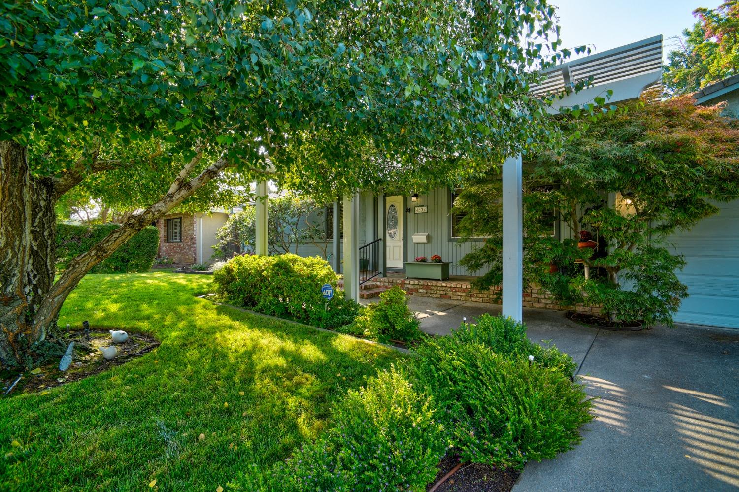 a backyard of a house with plants and large trees