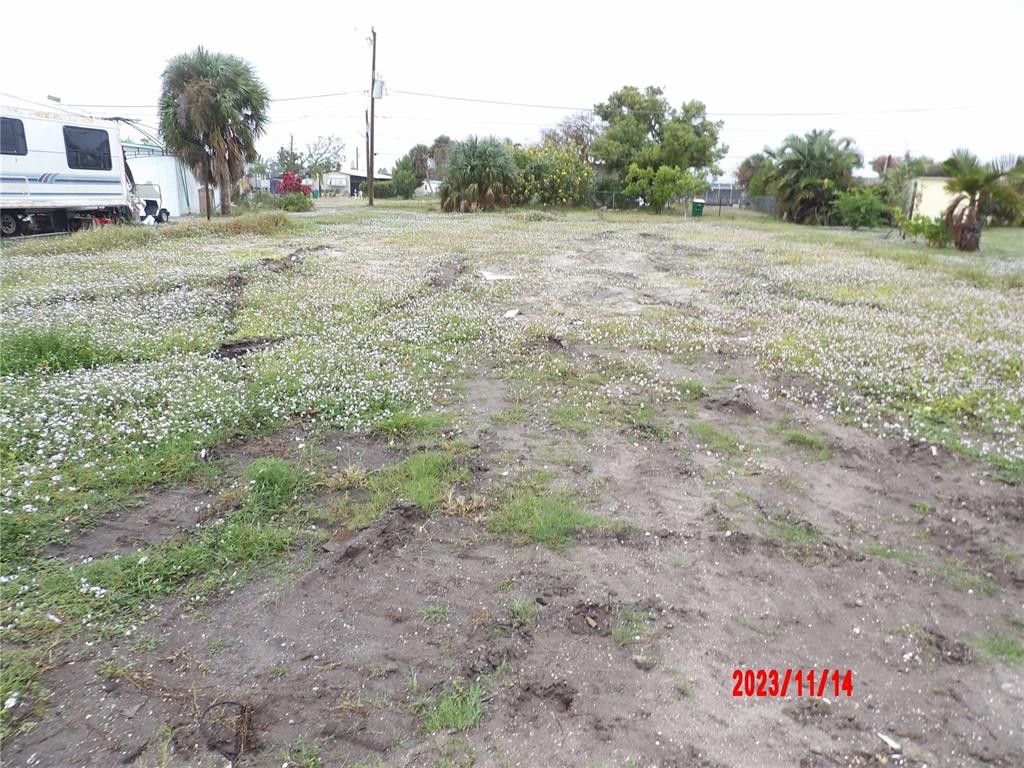 a view of a field with an trees