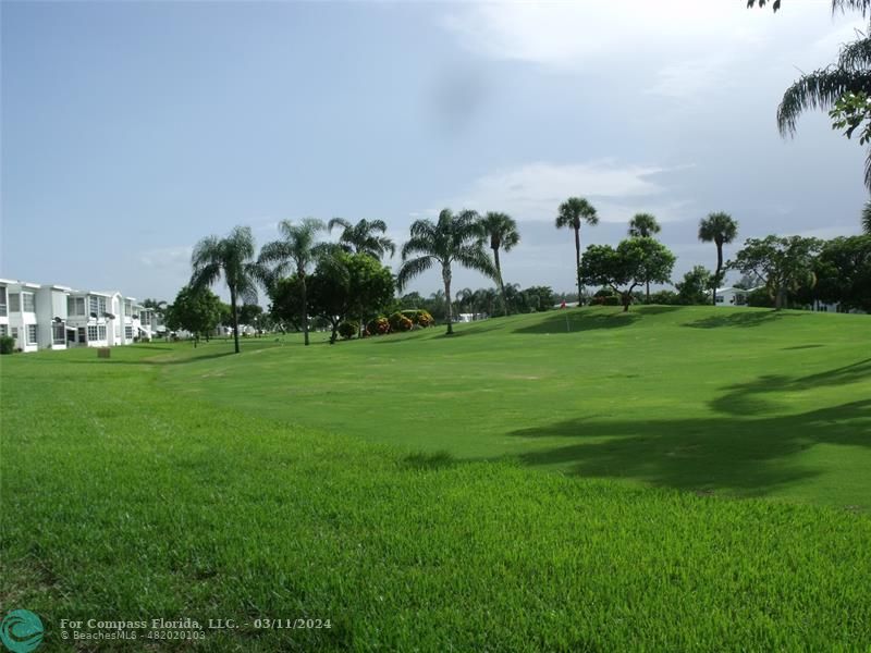 a view of a green field