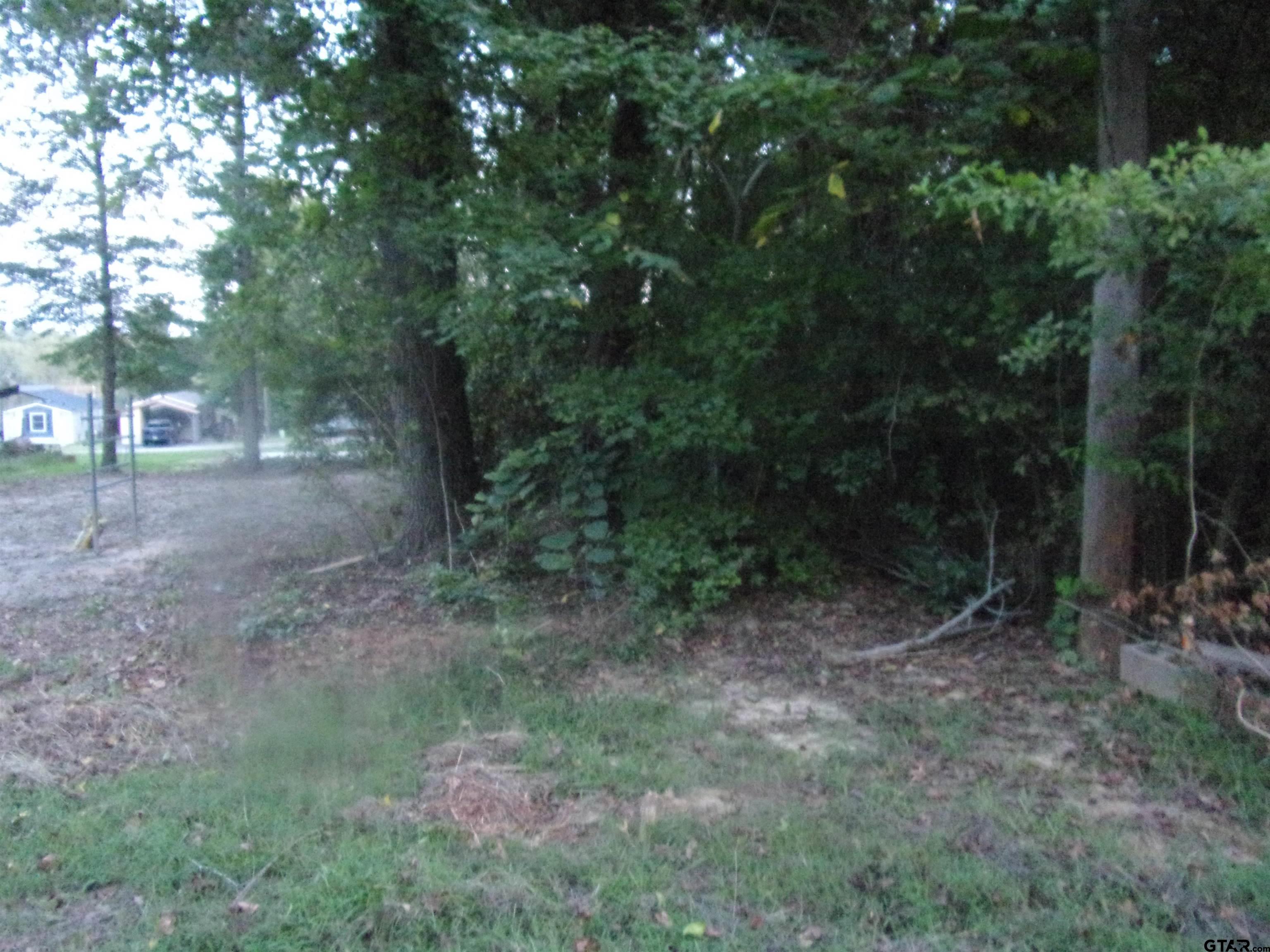 a view of a forest with trees in the background