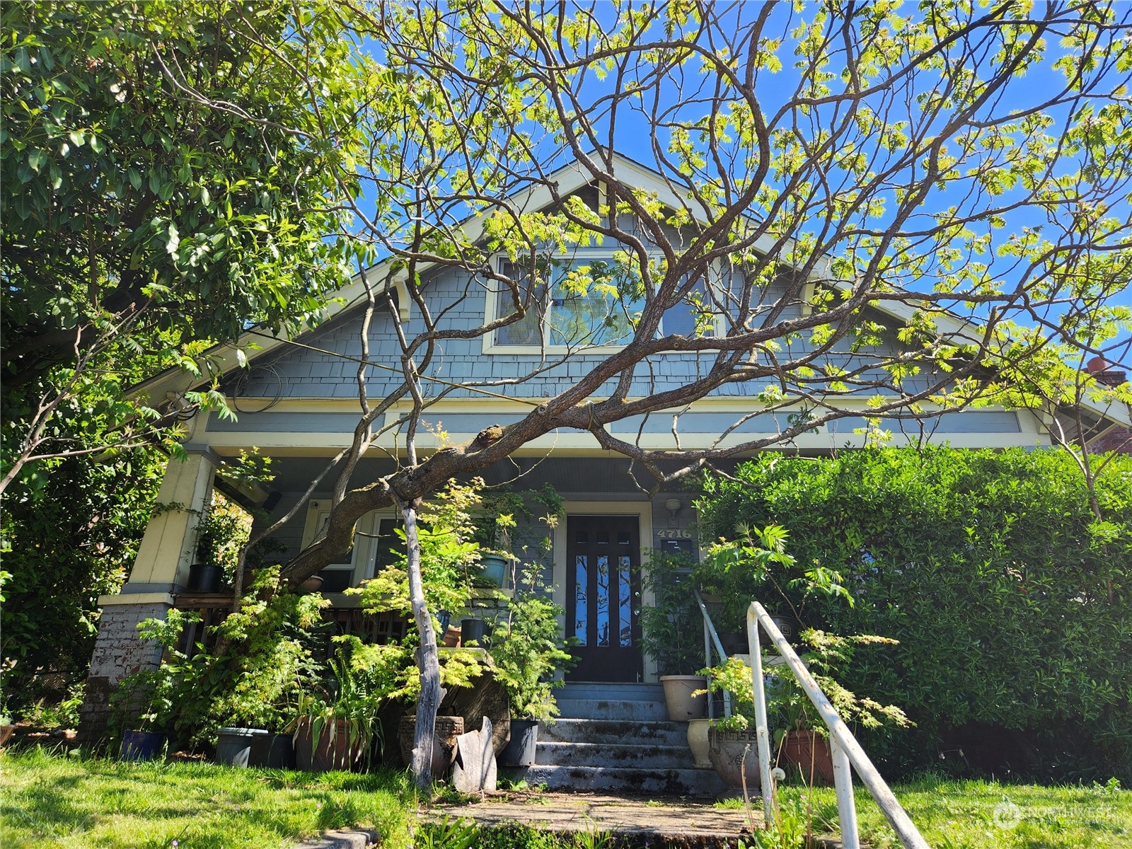 a front view of a house with a tree