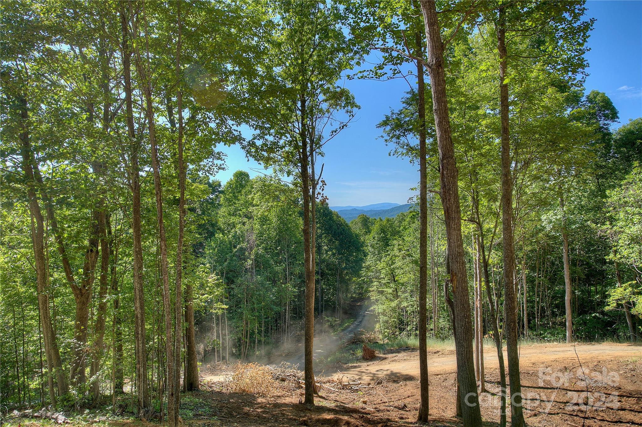 a view of a forest from a house