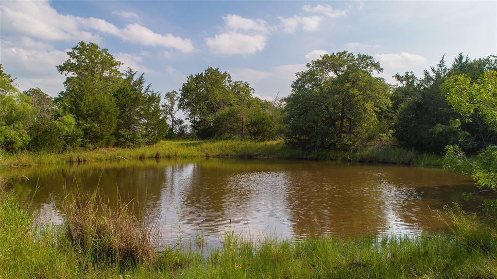 a view of lake with green space