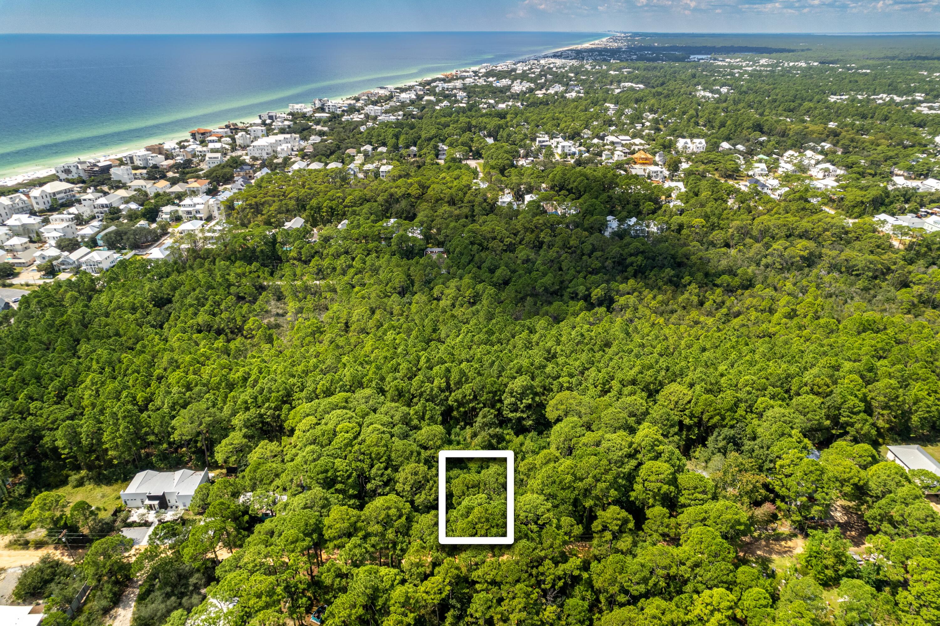 a view of a lush green forest with lots of trees