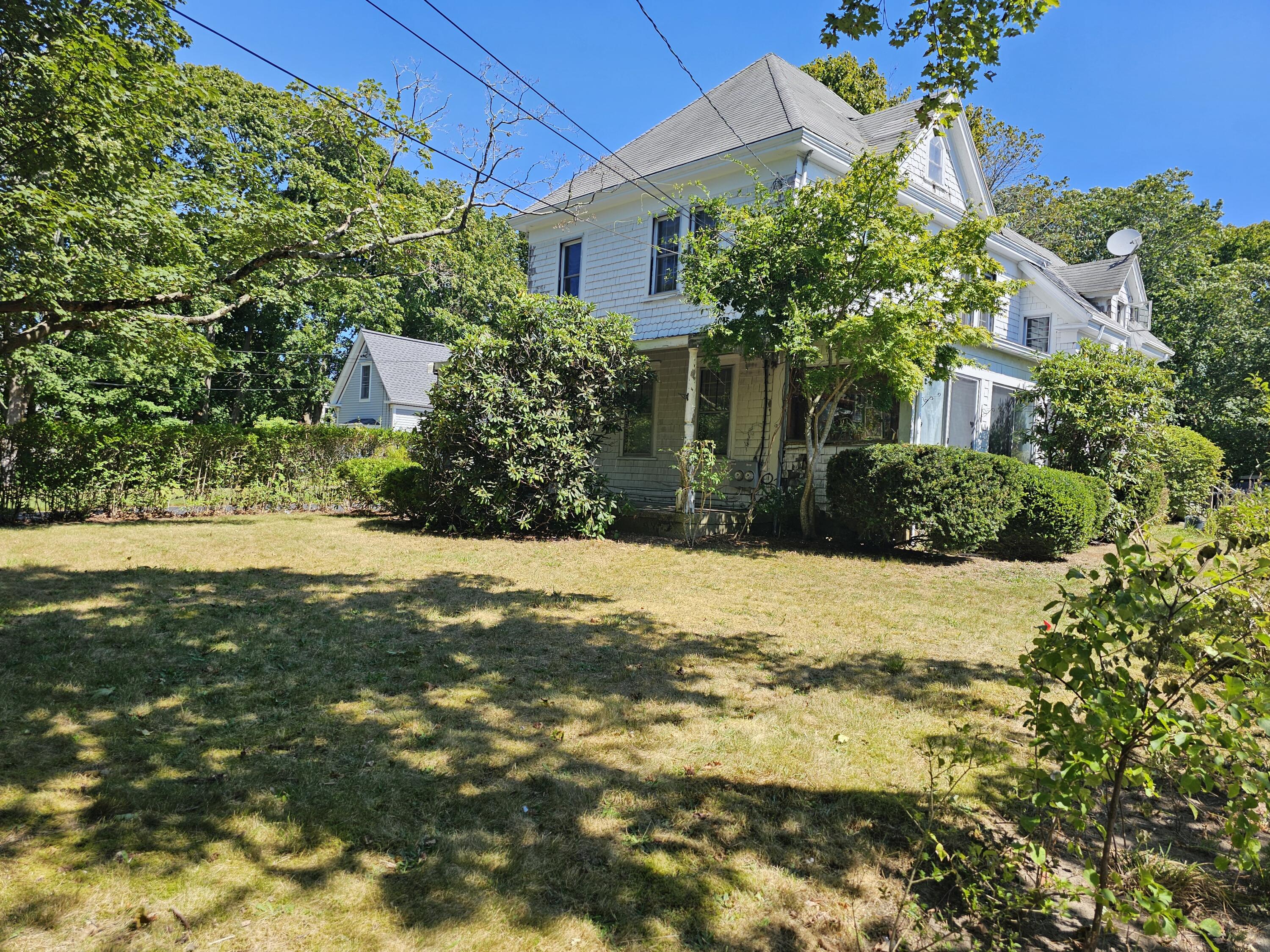 a view of a yard with plants and large trees