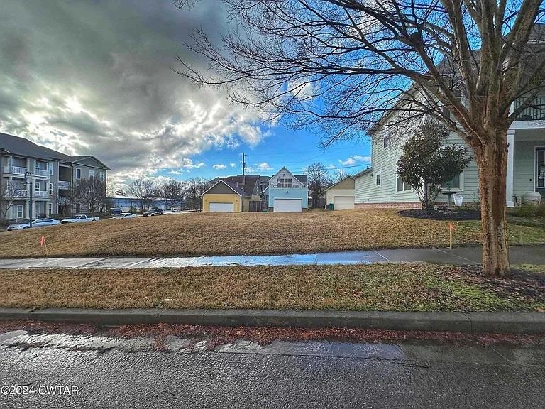 a view of a yard with a tree