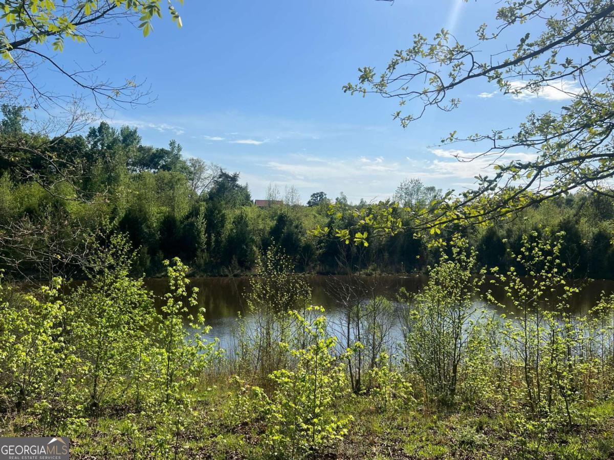 a view of a lake with a mountain