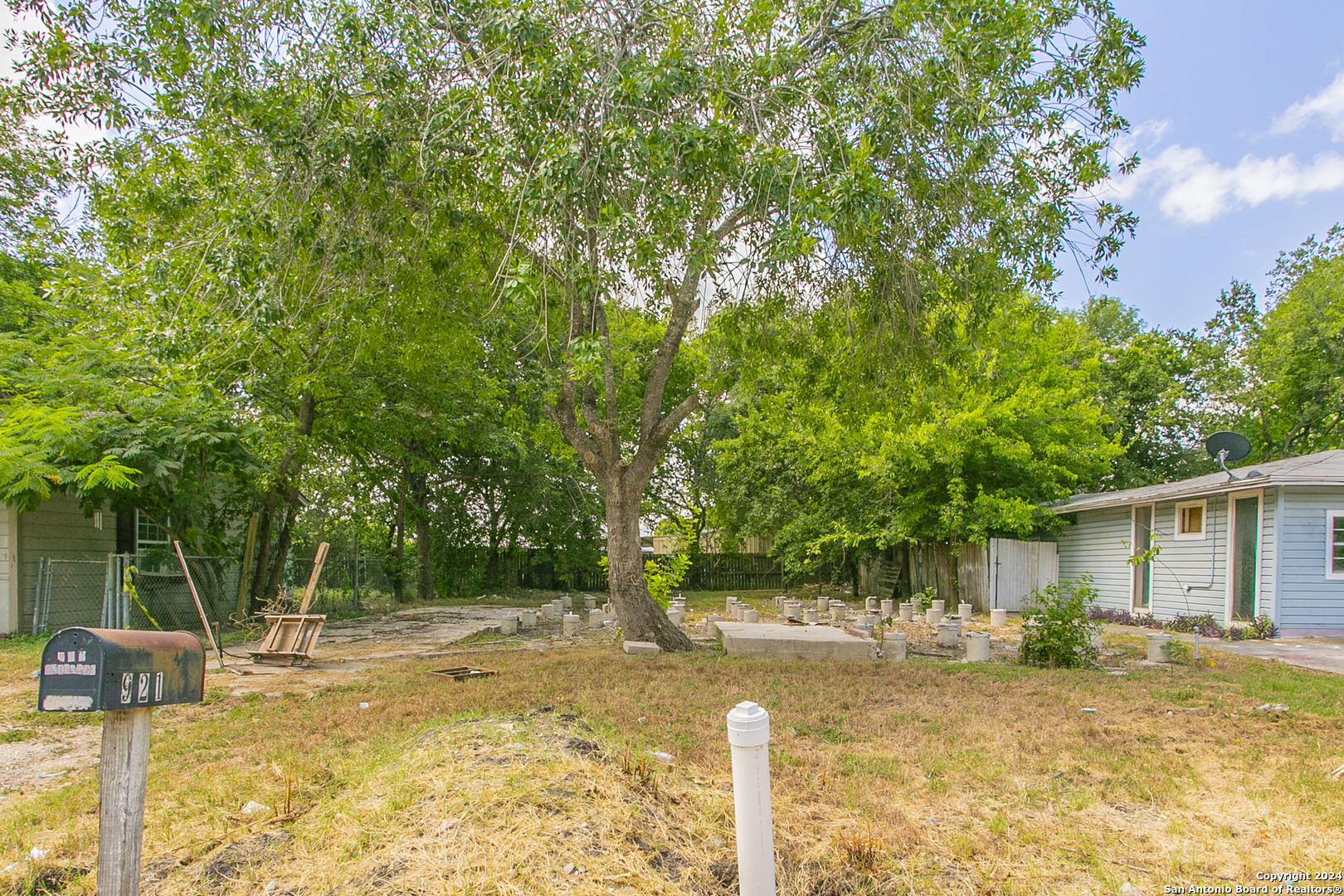 a view of a yard with plants and tree